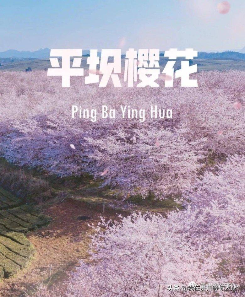懒惰男孩拯救