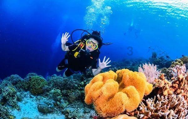 天津自贸区板块持续走强,天保基建、海泰发展涨超5%