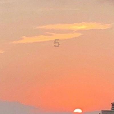 测试你的桃花运