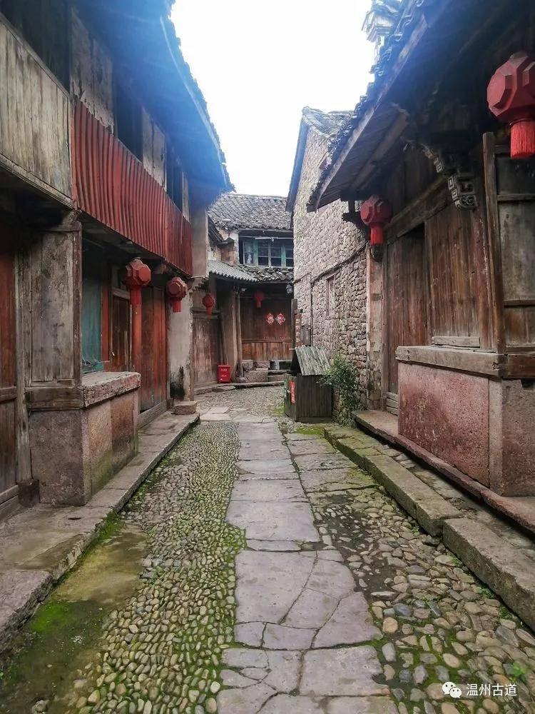 美人鱼游玩