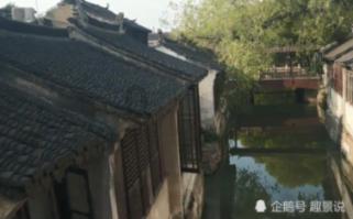 可爱的小考拉